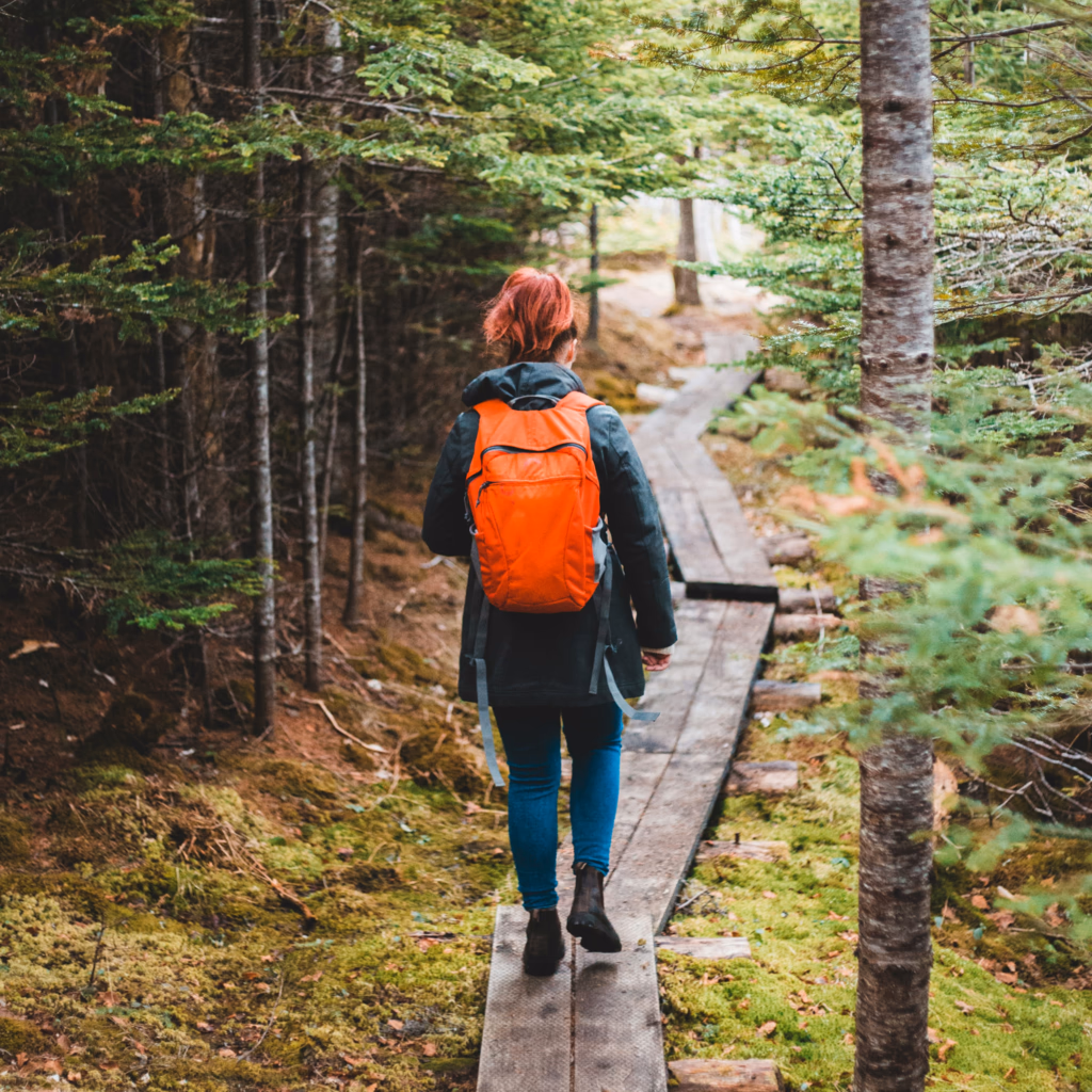 Spring In Twelve Days: This Year Become A Bodybuilder