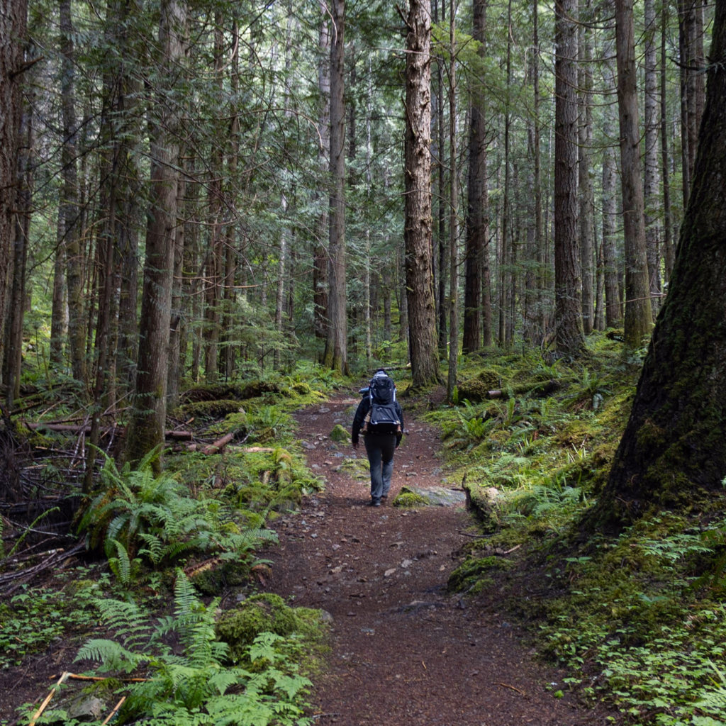 Enrolled! The Taphonomic Bias Story