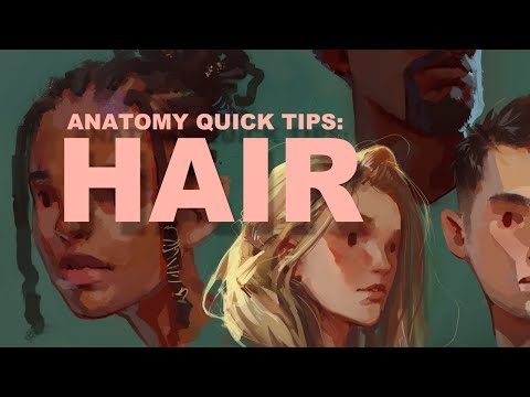 Anatomy Quick Tips: Hair