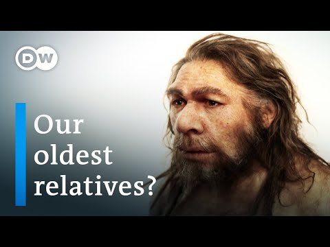 Who were the Neanderthals?