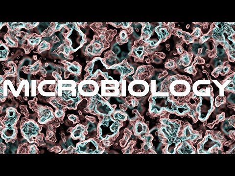 Crash Course Microbiology