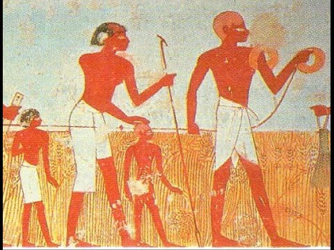 Origins of geometry in ancient Egypt