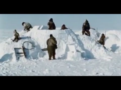 Tuktu- 4- The Snow Palace (How to build a REAL Inuit igloo)