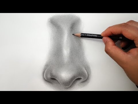 How to Draw a Nose - EASY