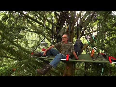 Tree Camping High Up In The Canopy