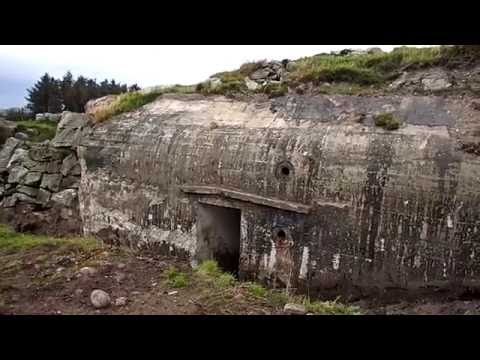 Forgotten bunker found and opened