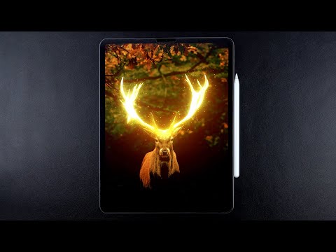 Procreate Photo Manipulation - Glowing Deer