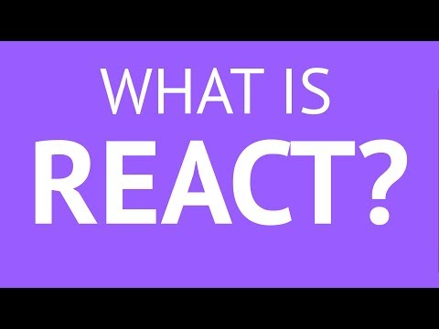 What Is React (React js) & Why Is It So Popular?