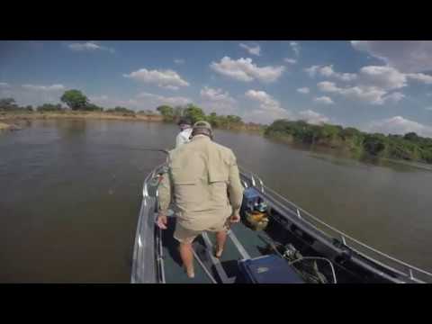 Hippo Attack Tanzania