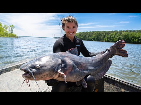 Hannah Catches her Biggest Blue Cat EVER at 61 Pounds!!