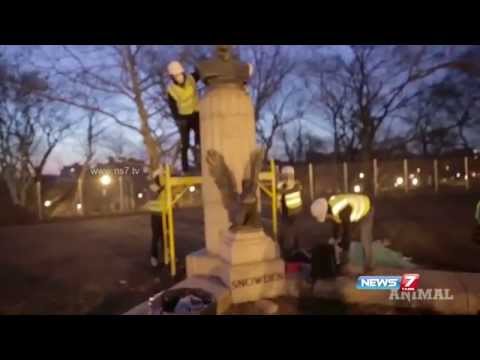 Illicit bust of Edward Snowden stuck to a war monument in Brooklyn removed