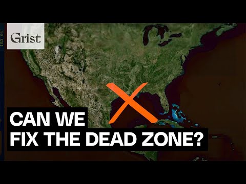 The Gulf of Mexico's dead zone, explained