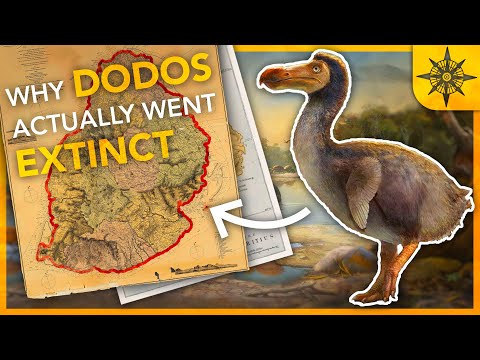 Why DODOS Actually Went EXTINCT | Island Biogeography 1