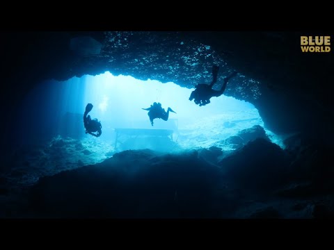 Blue Grotto in Florida!