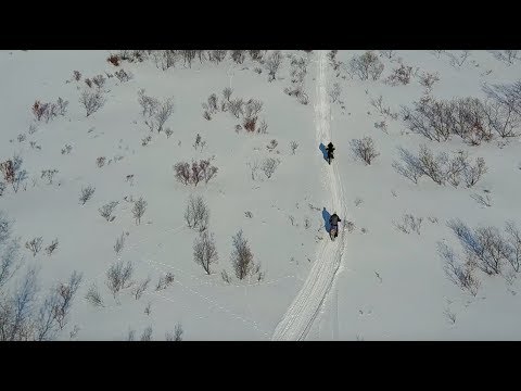 Alaska: Iditarod Trail Invitational: 350 Miles to McGrath