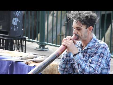 Quinto Antonio and his Didgeridoo in Sydney