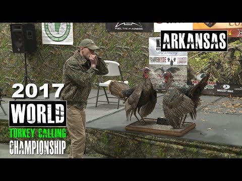 Chad Claycomb | 2017 World Turkey Calling Championships | Stuttgart, AR