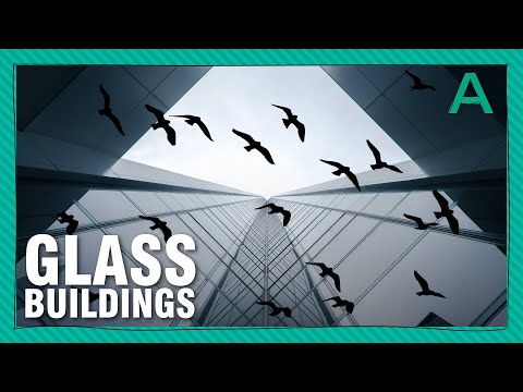 How to Stop Buildings from Killing Birds