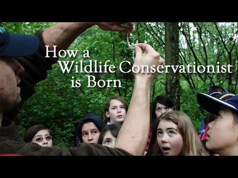 How a Wildlife Conservationist is Born