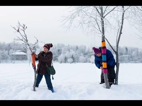 Yarn Bombing with the Anchorage Guerrilla Knitters