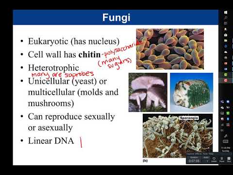 Chapter 1, Introduction to Microbiology