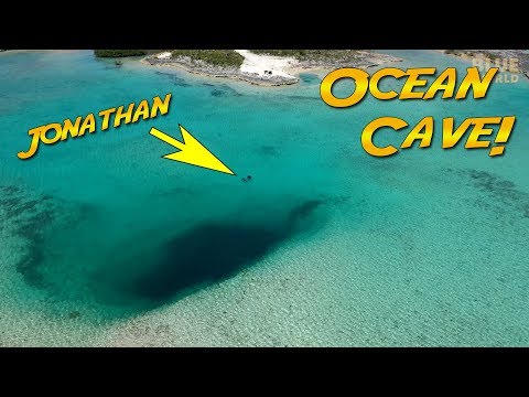 Ocean Cave Discovery!