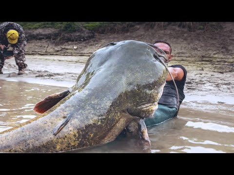 15 Biggest River Monsters Ever Caught