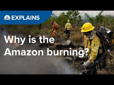 Why is the Amazon burning?