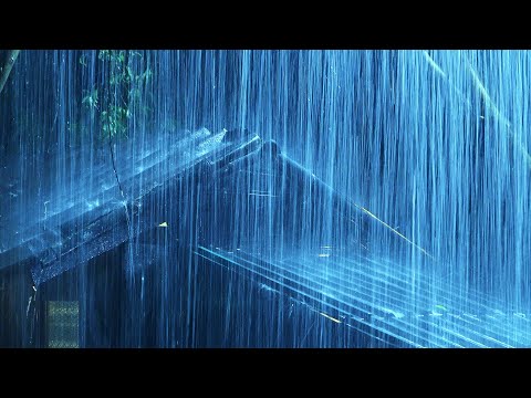 Rain & Thunderstorm Sounds