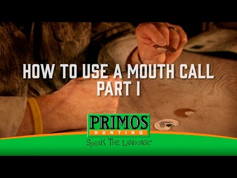 How to Use a Mouth Turkey Call Part I