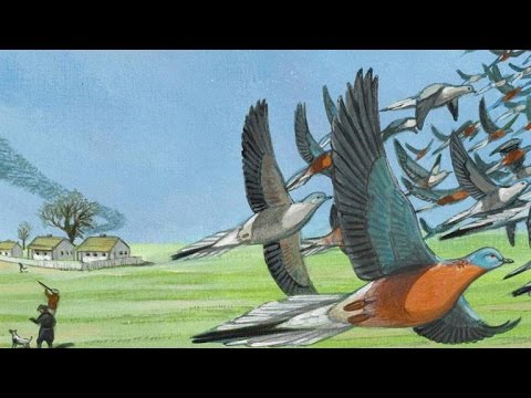 This Is Martha, the World's Last-Known Passenger Pigeons