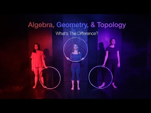 Algebra, Geometry, and Topology: What's The Difference?