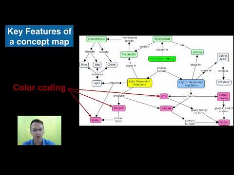 Concept Mapping with Cmap