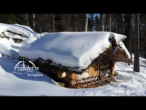 My Log Cabin in the Winter / -17C Winter Camping