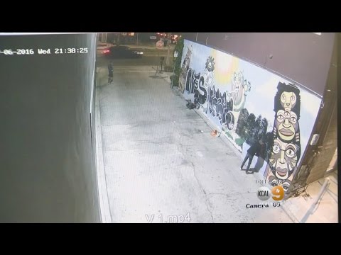 NAb Graffiti Vandals