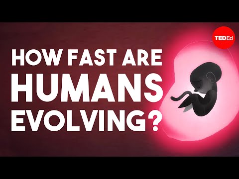 Is human evolution speeding up or slowing down? - Laurence Hurst