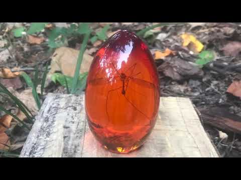 Making a "Jurassic Park" Style Mosquito Amber Egg